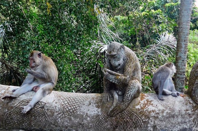 Hire Bali Driver for 10-hour (Bali as You Please) - Southern Bali temples, beaches, and sunset