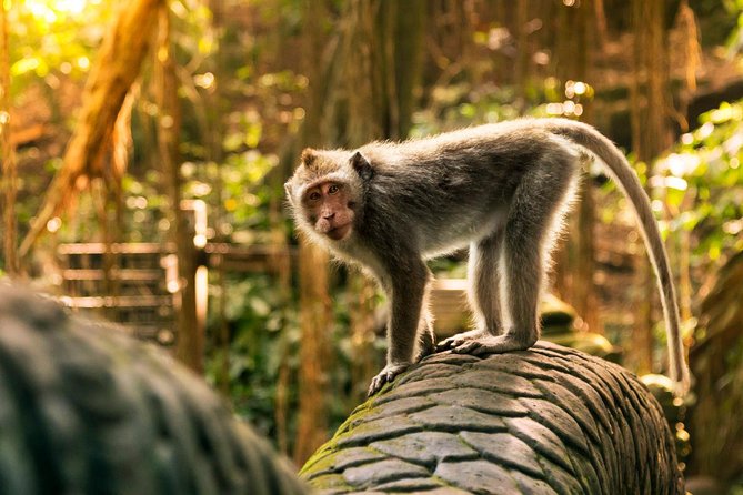 Hire Private Bali Driver - Costs that are included, and costs you still pay