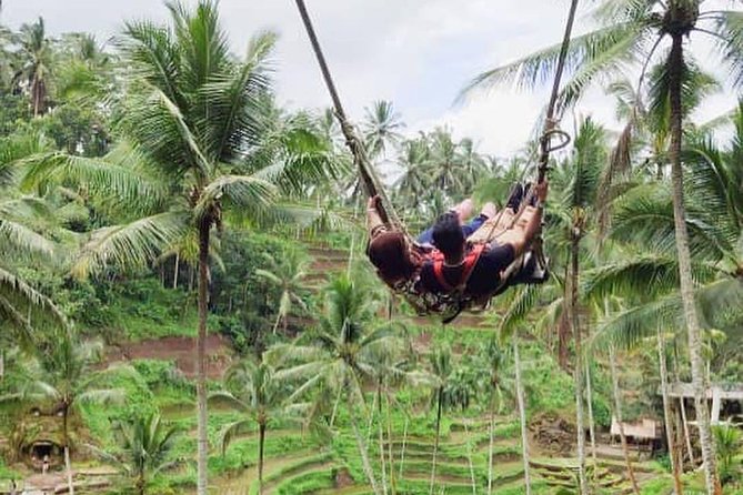 Hire Private Bali Driver - The strongest guide qualities to look for