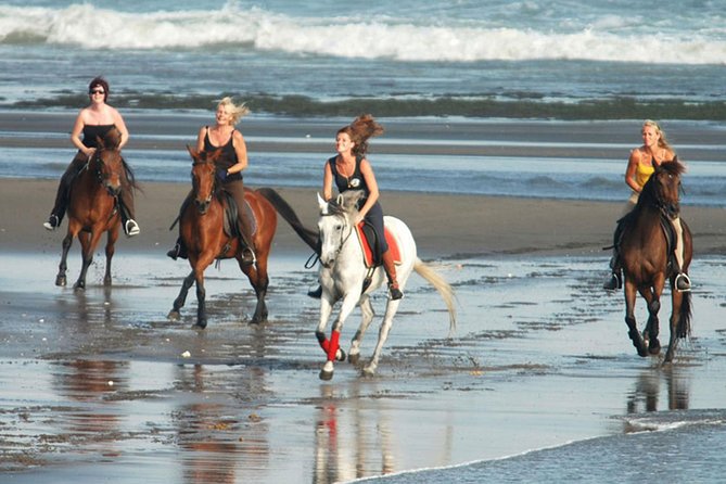 Horse Riding on the Black Sand Beach and Free Hotel Transfers - Meeting the horse and getting ready