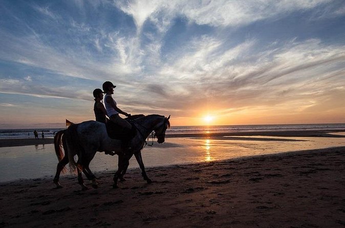 Horse Riding on the Black Sand Beach and Free Hotel Transfers - Photo help makes the ride easier