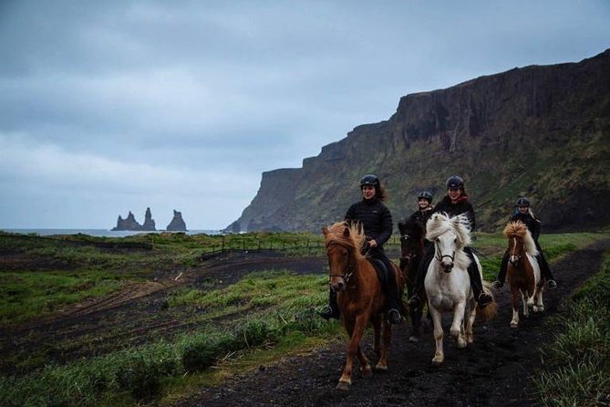Horse Riding on the Black Sand Beach and Free Hotel Transfers - How the $74 price holds up