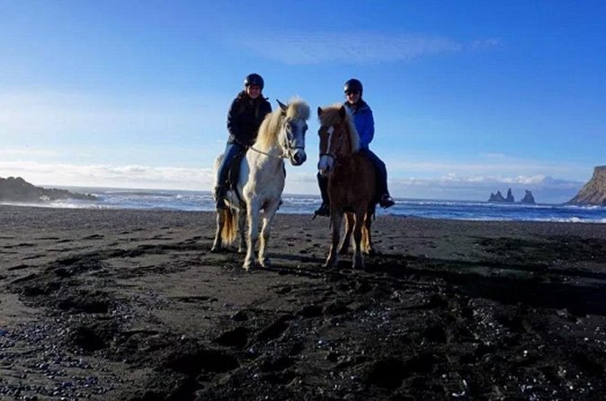 Horse Riding on the Black Sand Beach and Free Hotel Transfers - Practical planning for your four-hour outing
