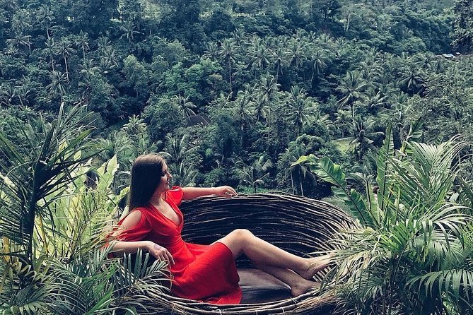 Individual Bali Day Trip with Private Driver and Free WiFi - Tanah Lot, Canggu, and the western coast