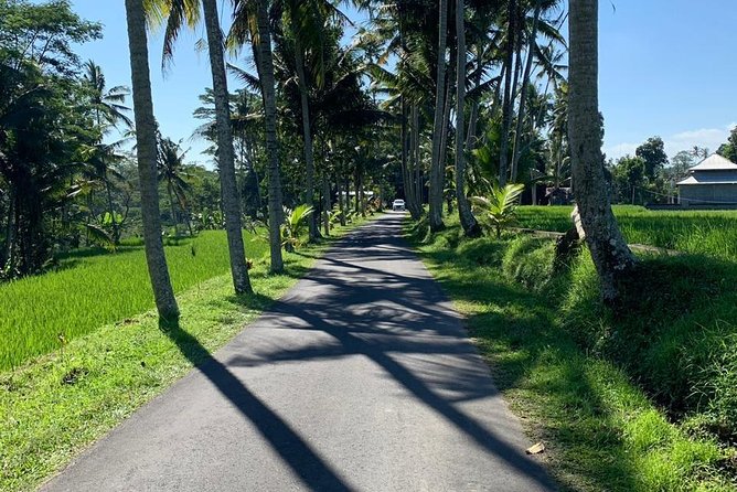 Individual Bali Day Trip with Private Driver and Free WiFi - Sanur, Denpasar, and easygoing alternatives