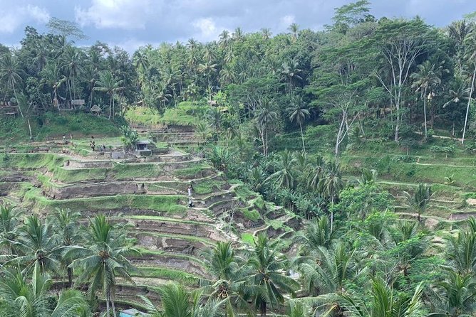 Individual Bali Day Trip with Private Driver and Free WiFi - What the $38 price really buys