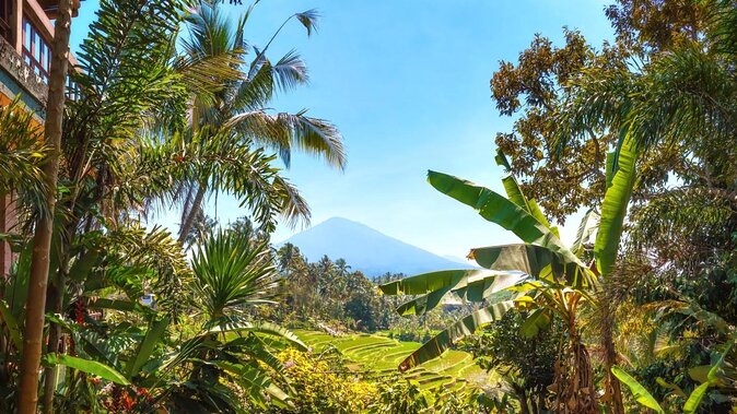 Jatiluwih Batukaru Mountain Nature's Best Tour - Key points to know before booking