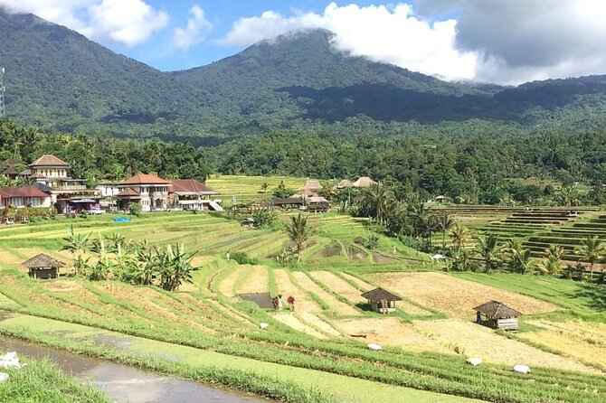 Jatiluwih Batukaru Mountain Nature's Best Tour - How long the day really feels