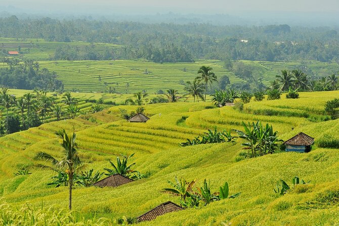 Jatiluwih Batukaru Mountain Nature's Best Tour - Pickup, timing, and practical planning