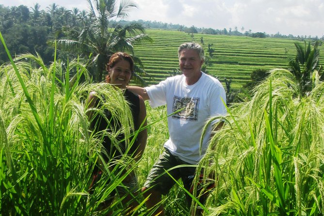 Jatiluwih full day e-bike cycling with lunch & trekking program - A Balinese Lunch Beside the Fields