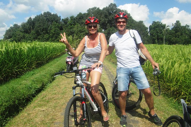 Jatiluwih in detail (1 h. e-bike tour in the rice terraces) - Starting at Green Bikes Bali Jatiluwih