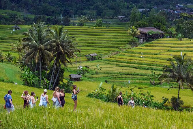 Jatiluwih Spiritual Journey of Melukat with Rice Terrace View - Why the Melukat ceremony matters