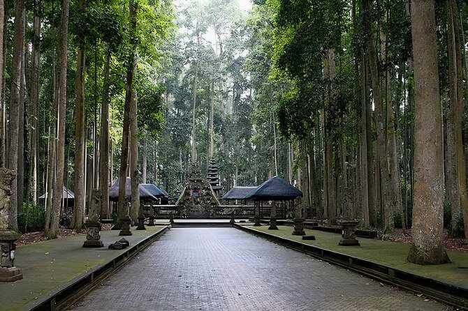 Jatiluwih Spiritual Journey of Melukat with Rice Terrace View - Baturiti coffee tasting, with one important caveat