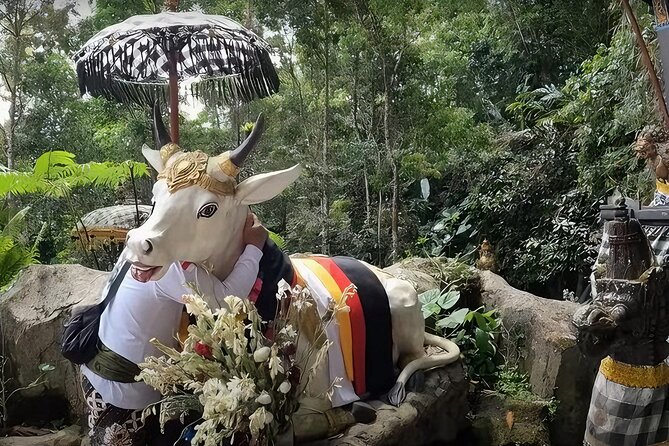 Jatiluwih Spiritual Journey of Melukat with Rice Terrace View - Tanah Lot and Ubud Monkey Forest need clarification