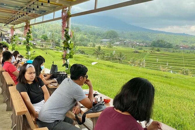 Jatiluwih Spiritual Journey of Melukat with Rice Terrace View - What the private transport is worth