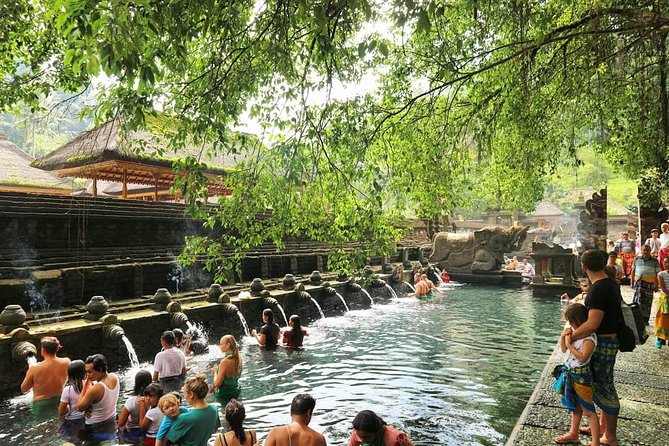 Jungle Swing - Volcano - Water Temple - Monkey Forest and Waterfall Tour - Tegenungan Waterfall, a scenic first stop