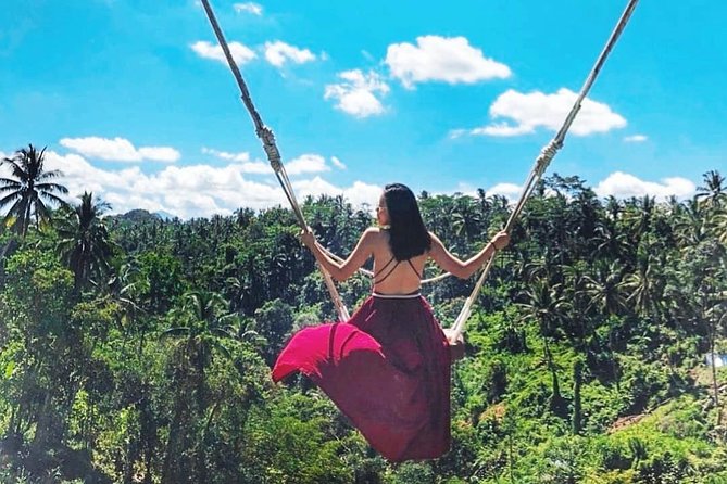 Jungle Swing - Volcano - Water Temple - Monkey Forest and Waterfall Tour - Ubud Monkey Forest and its macaques