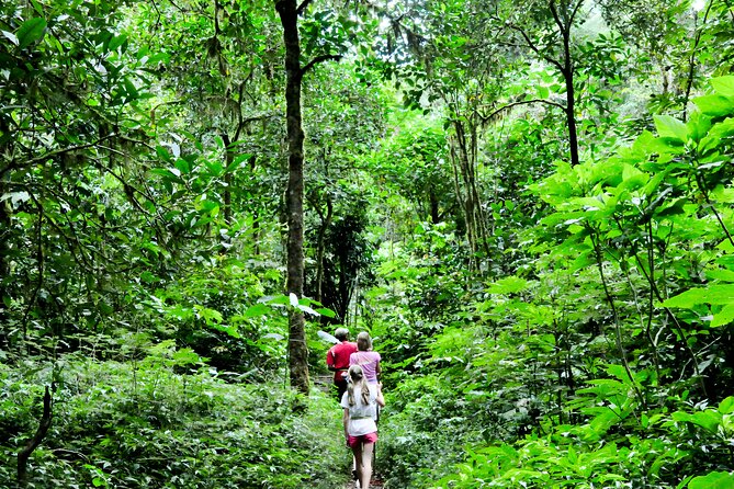 Jungle Trekking and Tamblingan Lake Canoeing in Bali Rainforest - Who will enjoy this Tamblingan tour most?
