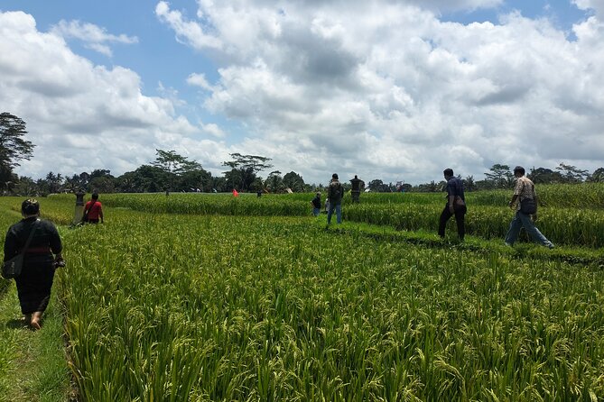 Keliki Village Tour And Rice Field Walk Including Lunch Or Dinner - Key things to know before you go