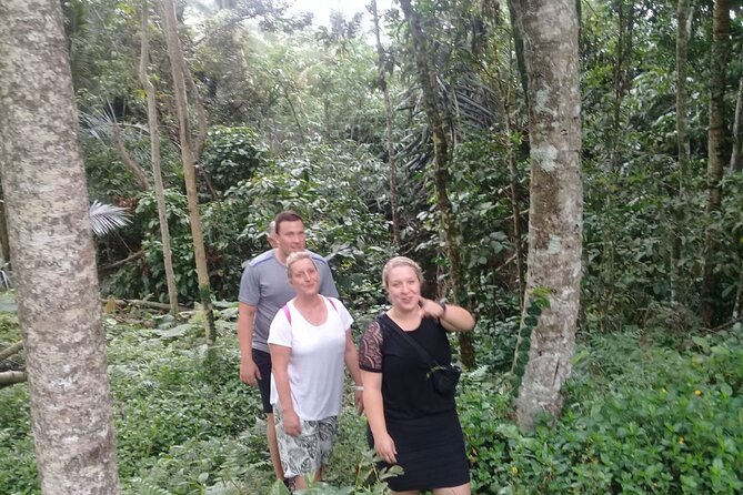 Keliki Village Tour And Rice Field Walk Including Lunch Or Dinner - Beginning at Bintang Supermarket Ubud