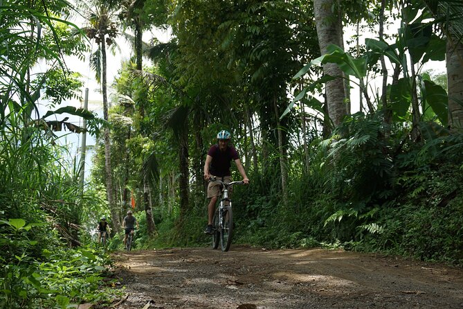 Kintamani Cultural and Nature Cycling Tour ( Manual Bike ) - Tegallalang is a brief photo stop