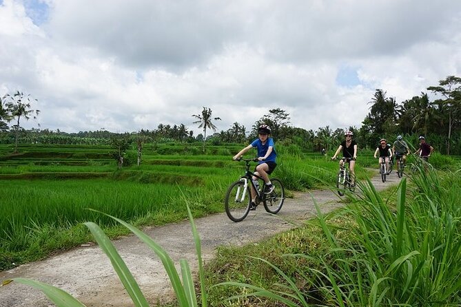 Kintamani Cultural and Nature Cycling Tour ( Manual Bike ) - Starting the bicycle ride in Abuan, Kintamani