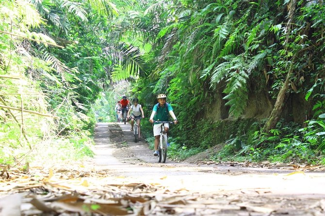 Kintamani Cultural and Nature Cycling Tour ( Manual Bike ) - Taro village, coffee, and Gunung Raung Temple