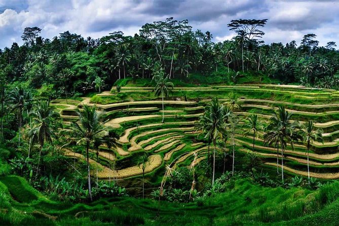 Kintamani Vulcano Tour - Tirta Empul and the Sacred Spring