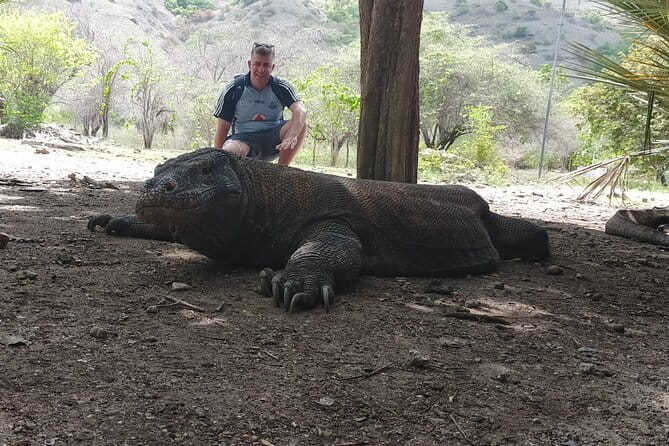 Komodo Island Adventure from Bali (Day Trip) - Siaba Besar, the island called Turtle City