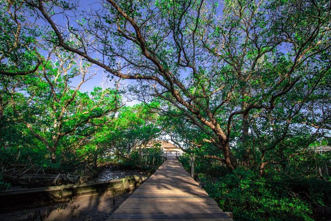Kuta Beach eBike Private Tour - A Beach Ride From German Beach to Kuta Boardwalk