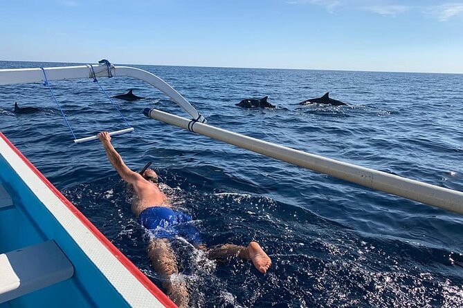 Lovina Dolphin Watching, Swimming, and Snorkeling Experience - Key points to know before booking