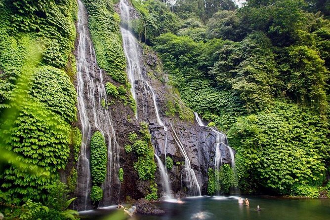 Lovina Sunrise Dolphin & Waterfall Tour - Wanagiri Hidden Hills and the question of the final stop