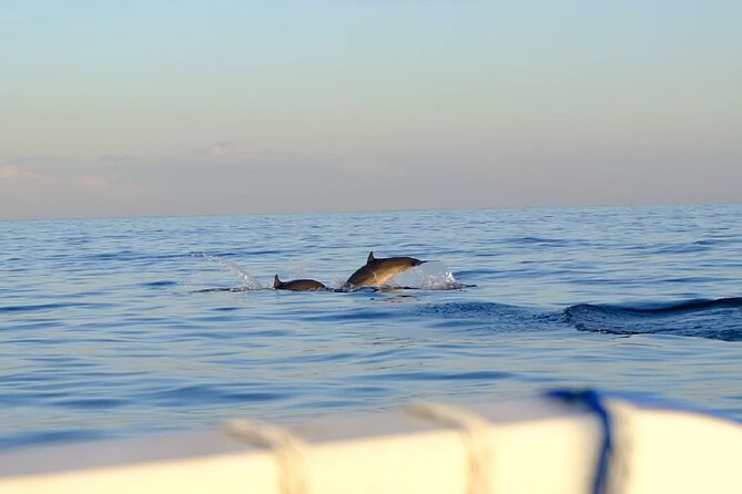 Lovina Sunrise Dolphin with option snorkeling and waterfall - Sunrise at Celuk Agung Beach