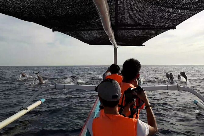Lovina Sunrise Dolphin with option snorkeling and waterfall - The private vehicle and hotel pickup