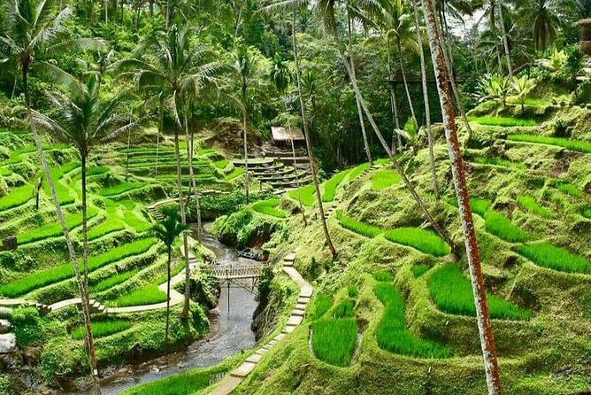 Magic Of Ubud Temple Swing And Waterfall Private Guided Tour - A long Ubud day from Seminyak