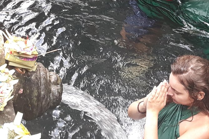 Magic Of Ubud Temple Swing And Waterfall Private Guided Tour - Tegalalang Rice Terrace and the extra lunch bill