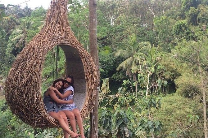 Magic Of Ubud Temple Swing And Waterfall Private Guided Tour - Ulu Petanu Waterfall beside the Petanu River