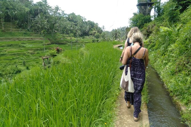 Magic Of Ubud Temple Swing And Waterfall Private Guided Tour - Tea in Tampaksiring’s traditional village