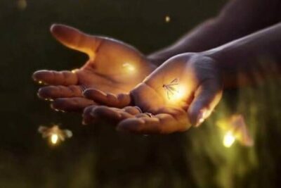Magical Village Tour & Private Dinner with Fireflies in Bali