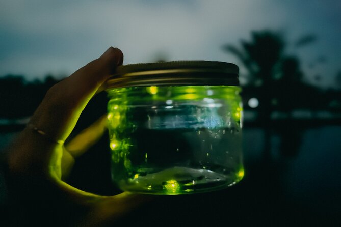 Magical Village Tour & Private Dinner with Fireflies in Bali - Private format and the pace of the evening