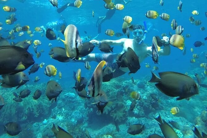 Manta Bay Snorkeling Adventure with Kelingking Beach Nusa Penida All Inclusive - Key things to know before booking