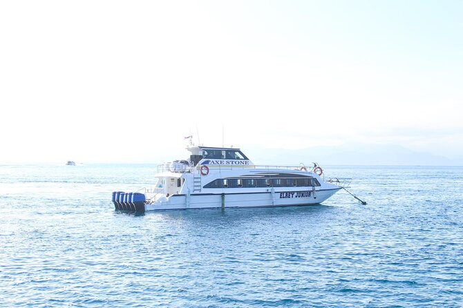 Manta Bay Snorkeling Adventure with Kelingking Beach Nusa Penida All Inclusive - Kelingking Beach and the famous cliff view