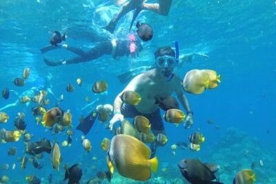 Manta Bay Snorkeling Adventure with Kelingking Beach Nusa Penida All Inclusive