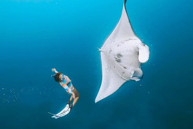 Manta Point Snorkeling & West Nusa Penida Island Day Tour - Key things to know before booking