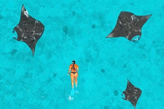 Manta Point Snorkeling & West Nusa Penida Island Day Tour - What this Nusa Penida day is really like