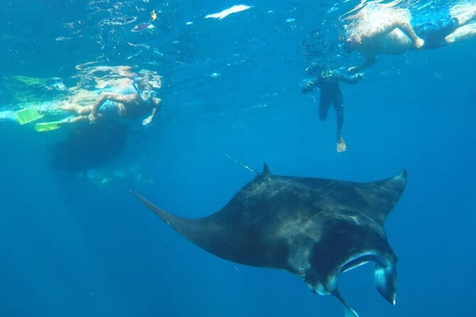 Manta Point Snorkeling & West Nusa Penida Island Day Tour - Broken Beach completes the west coast circuit