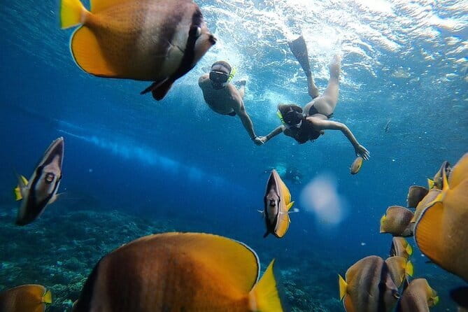 Manta Point Snorkeling & West Nusa Penida Island Day Tour - The drivers and guides shape the experience