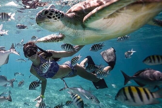 Manta Point Snorkeling & West Nusa Penida Island Day Tour - Is $45.87 a good value?
