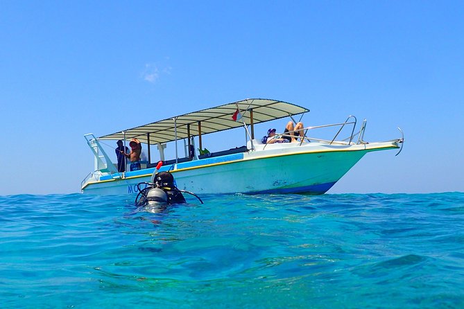 Menjangan island for Certified Scuba Divers full day boat trip, 2 dives + lunch - The first session: coral walls and sea fans