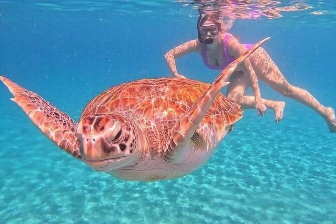 Monkey Bar and snorkling adventure at blue lagoon. - Why this Seminyak day trip works